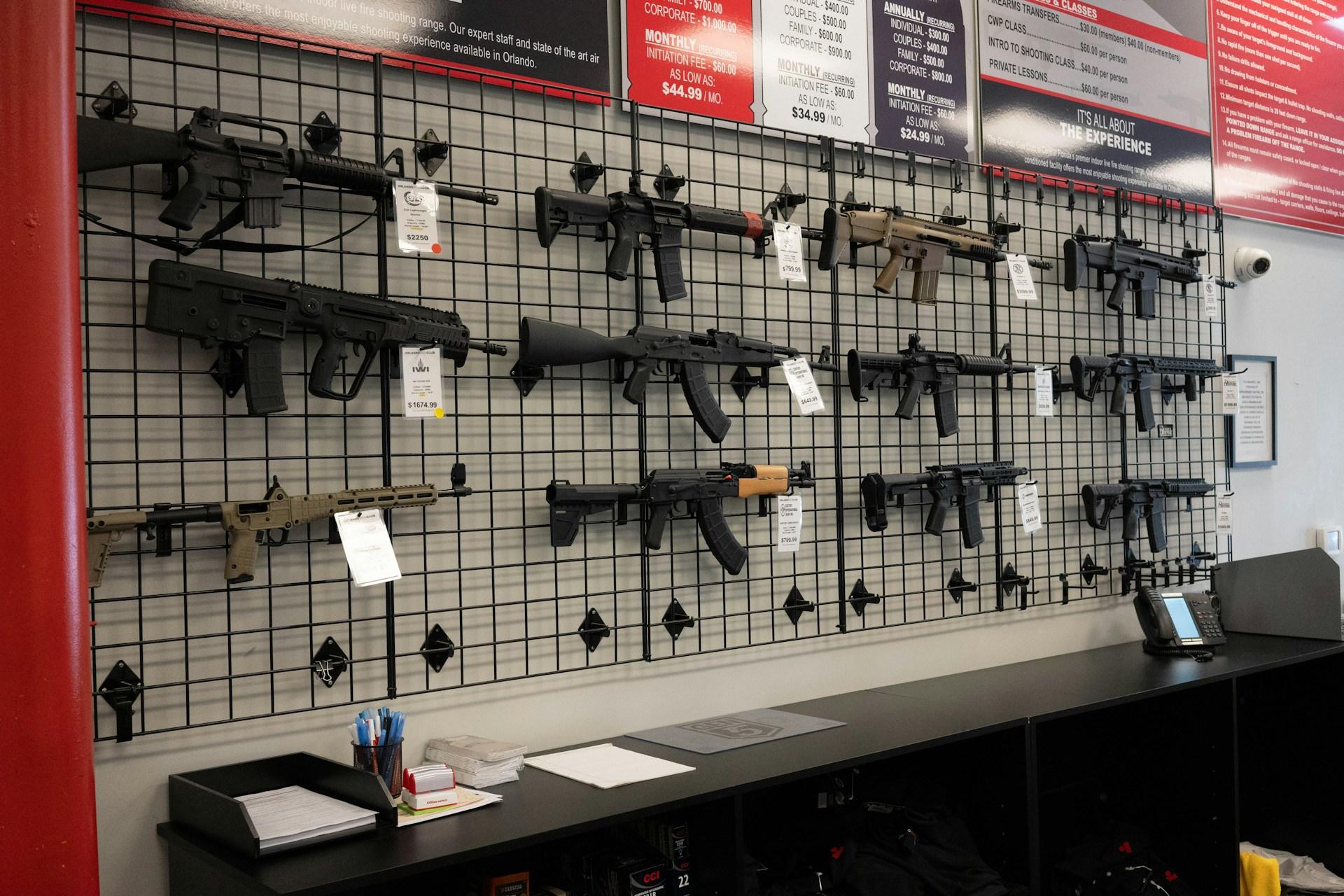 Gun store with firearms on wall display — illustrative preview, not the client website